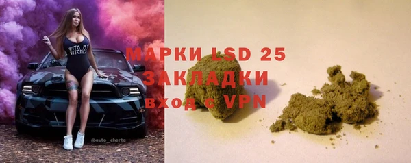 прущие грибы Сафоново