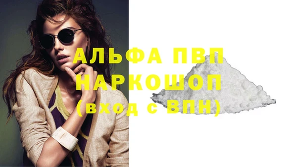 гашик Абаза