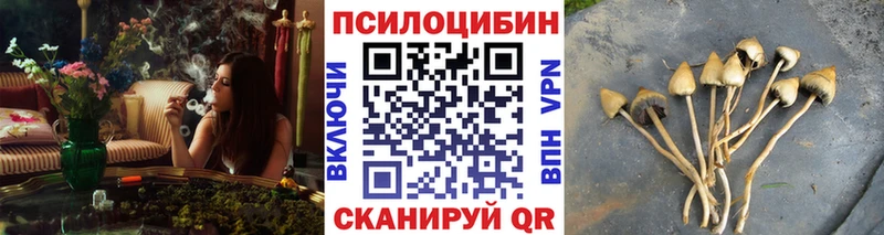 Псилоцибиновые грибы Magic Shrooms  наркотики  Пойковский 