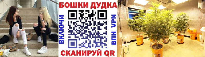 Шишки марихуана планчик  Пойковский 